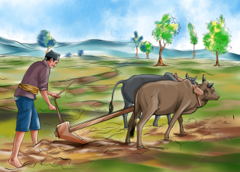 मधेशका ४३ प्रतिशत किसान परिवारलाई खाना अपुग