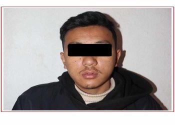 माल्टा पठाईदिन्छु भन्दै ठगी गर्ने लिखु तामाकोसीका युवक पक्राउ