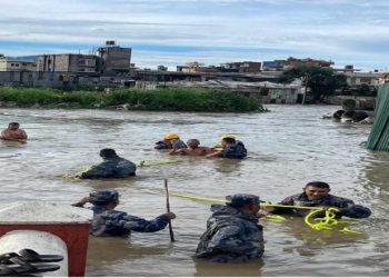 २० जना बिरामीमा हैजा पुष्टि