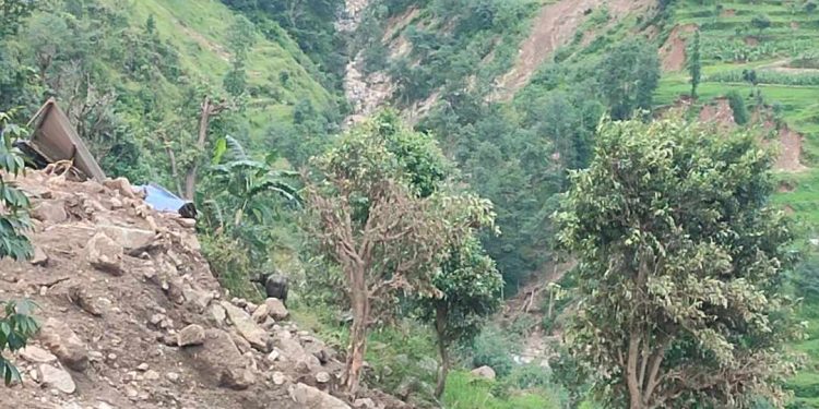 शोकाकुल गाउँ कुर्दै लाहुरी भैंसी