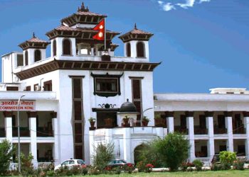 स्थानीय उपचुनाव : उम्मेदवार बन्न यस्तो छ योग्यता