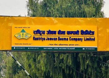 चार महिनाभित्र लेखापरीक्षण गरिसक्न राष्ट्रिय जीवन बिमा कम्पनीलाई निर्देशन