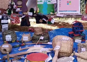 गोकुलगङ्गा गाउँपालिकामा  शैक्षिक अवस्था सुधार गर्न सिकाइ मेला