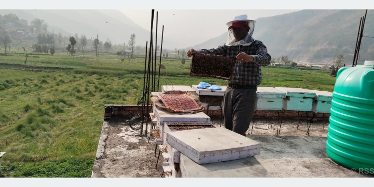 रामेछापमा व्यावसायिक माहुरीपालन फस्टाउँदै