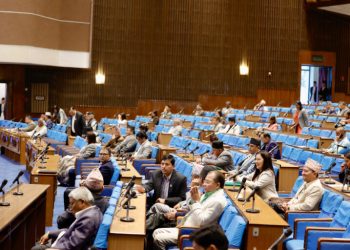 नीति तथा कार्यक्रममाथि ३७ संशोधन प्रस्ताव