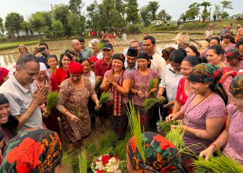 धान दिवसको उल्लास : किसानको पसिना र परम्पराको सम्मान
