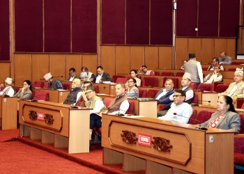 राष्ट्रियसभाबाट बजेट आश्रित दुई विधेयक पारित