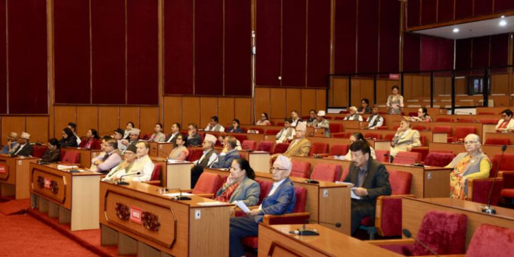 कर प्रणालीलाई पाररदर्शी बनाउनुपर्नेमा सांसदहरूको जोड