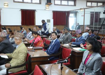 सुशासन र पारदर्शितामा सांसदहरूको जोड